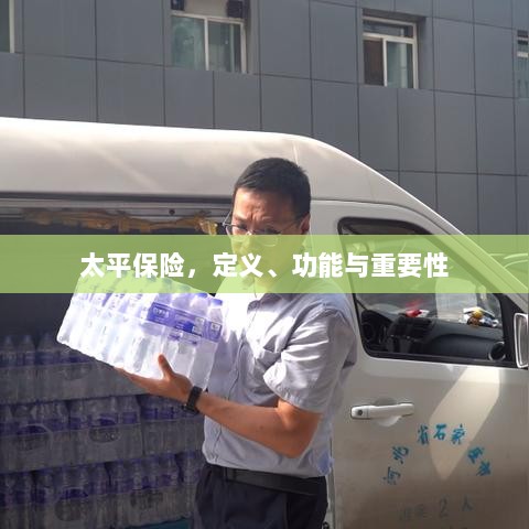 太平保险，定义、功能及其重要性解析-图1