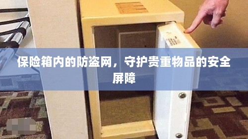 保险箱内防盗网,守护贵重物品的安全卫士-图1 保险箱内防盗网,守护贵重物品的安全卫士-图1