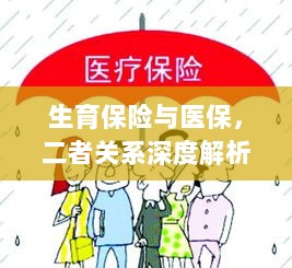生育保险与医保的关系深度探讨与解析-图1 生育保险与医保的关系深度探讨与解析-图1