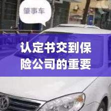 认定书交到保险公司的重要性及后续处理流程详解-图1
