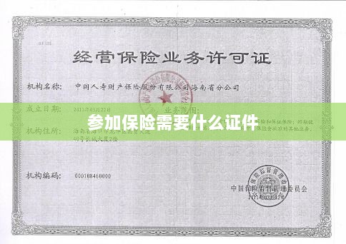 参加保险所需证件概览-图1