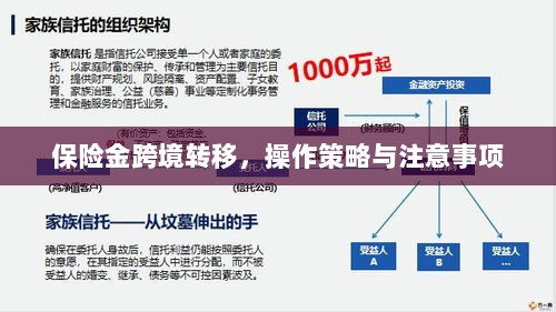 保险金跨境转移，操作策略及注意事项指南-图1