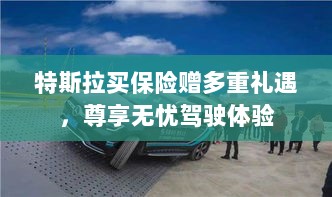 特斯拉保险购买多重礼遇，无忧驾驶尊贵体验-图1