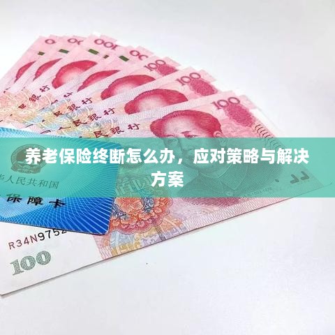 养老保险中断应对指南,解决方案与策略-图1 养老保险中断应对指南,解决方案与策略-图1