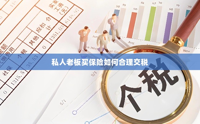 私人老板如何合理购买保险并交税指南-图1 私人老板如何合理购买保险并交税指南-图1