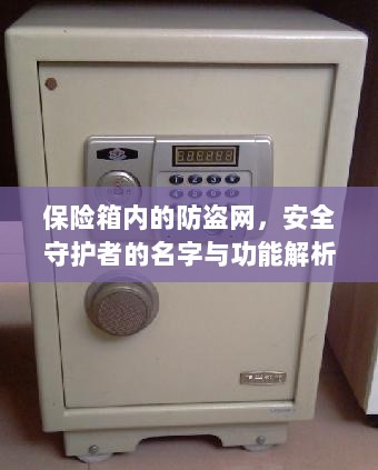 保险箱内防盗网,安全守护者名字与功能深度解析-图1 保险箱内防盗网,安全守护者名字与功能深度解析-图1