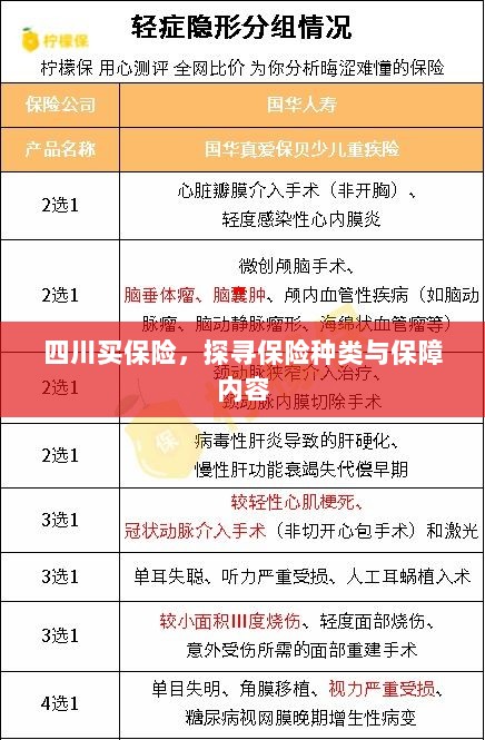 四川保险探秘,种类与保障内容全解析-图1 四川保险探秘,种类与保障内容全解析-图1