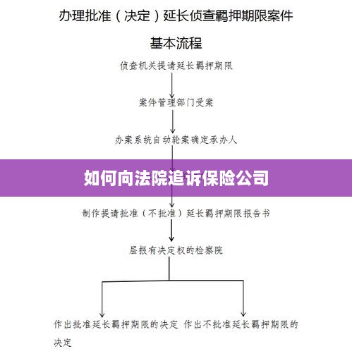 保险公司追诉指南,如何向法院提起诉讼索赔-图1 保险公司追诉指南,如何向法院提起诉讼索赔-图1