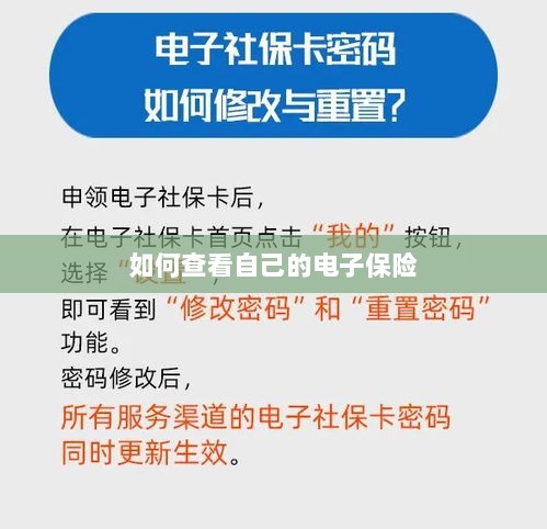 如何查看个人电子保险保单详情-图1 如何查看个人电子保险保单详情-图1
