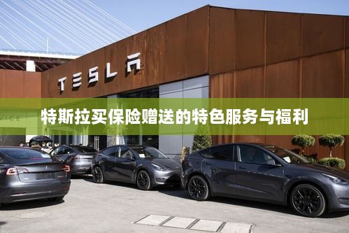 特斯拉保险特惠，独家特色服务与丰厚赠品等你来享-图1