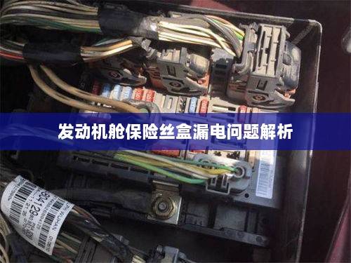 发动机舱保险丝盒漏电问题深度解析-图1 发动机舱保险丝盒漏电问题深度解析-图1