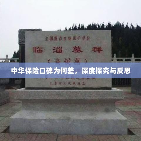 中华保险口碑深度探究与反思，原因何在？-图1