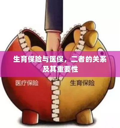 生育保险与医保，关系紧密，保障女性生育权益的重要性不言而喻-图1