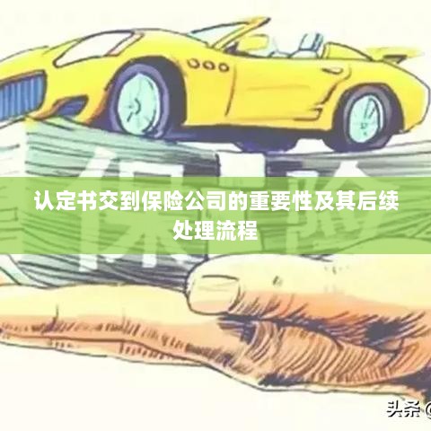 认定书对保险公司的重要性及后续处理流程详解-图1