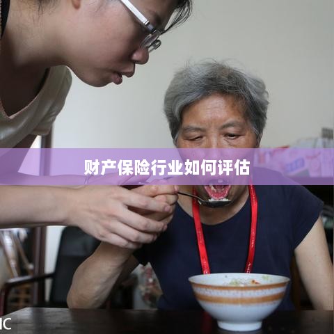 财产保险行业评估方法与策略解析-图1
