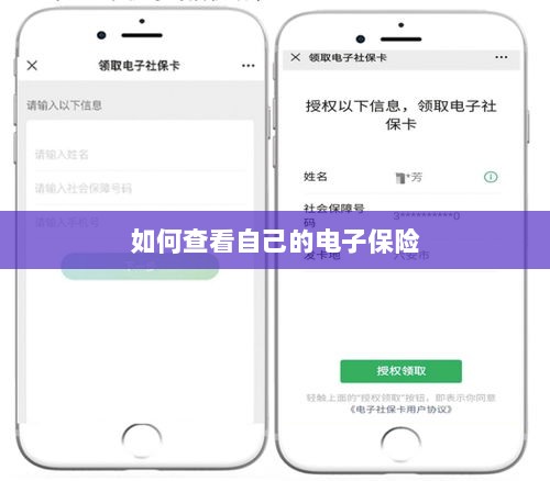 如何查看个人电子保险保单详情-图1