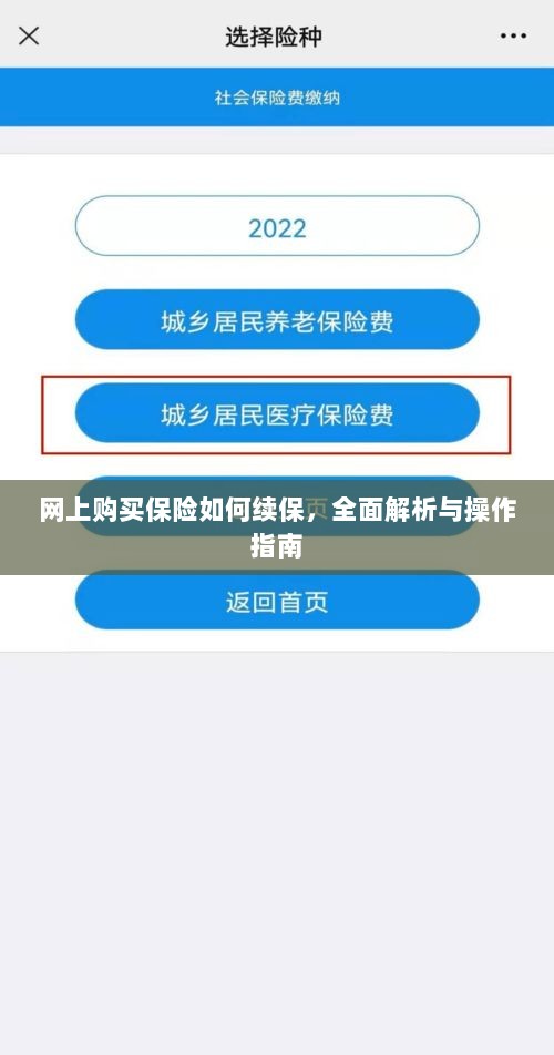 网上保险续保攻略,全面解析与操作指南-图1 网上保险续保攻略,全面解析与操作指南-图1