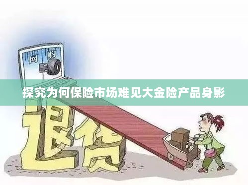 大金险产品为何难见身影，保险市场深度探究-图1