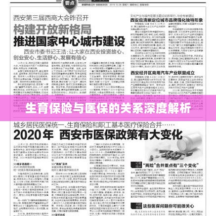 生育保险与医保关系的深度探讨-图1