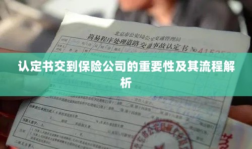 认定书交到保险公司的流程解析与重要性探讨-图1 认定书交到保险公司的流程解析与重要性探讨-图1