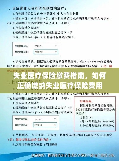 失业医疗保险缴费详解，如何正确缴纳费用指南-图1