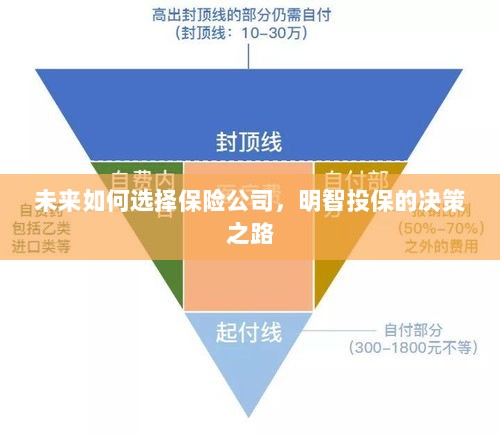 未来如何选择保险公司,明智投保指南与决策之路-图1 未来如何选择保险公司,明智投保指南与决策之路-图1