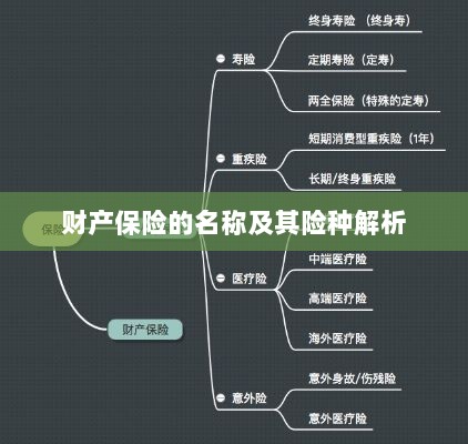财产保险名称及险种深度解析-图1