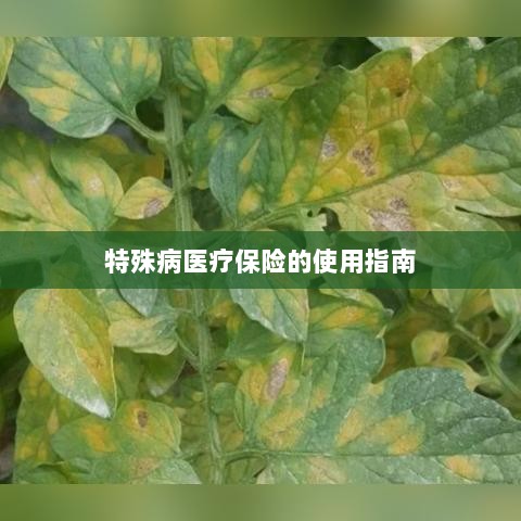 特殊病医疗保险使用指南详解-图1 特殊病医疗保险使用指南详解-图1