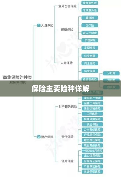保险主要险种详解概览-图1 保险主要险种详解概览-图1