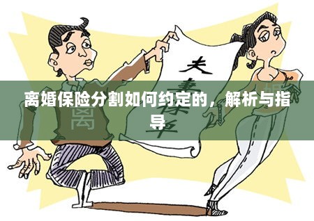离婚保险分割约定详解与指导手册-图1