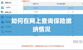网上查询保险缴纳情况攻略-图1