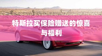 特斯拉保险购买赠品与惊喜福利概述-图1