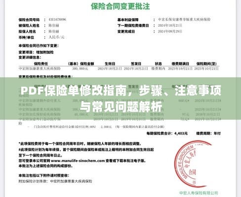 PDF保险单修改指南,步骤、注意事项及常见问题解析-图1 PDF保险单修改指南,步骤、注意事项及常见问题解析-图1