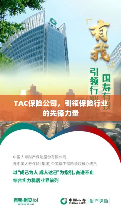 TAC保险公司，引领保险行业的先锋典范-图1