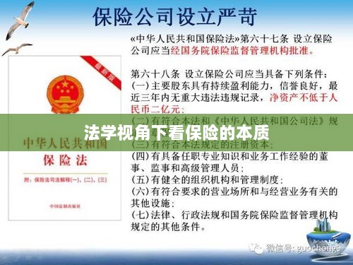 法学视角下的保险本质探究-图1
