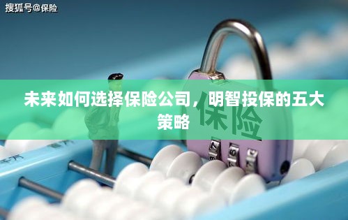 未来如何选择保险公司，五大明智投保策略指南-图1