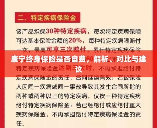 康宁终身保险自费问题解析与建议,深度对比与明智选择-图1 康宁终身保险自费问题解析与建议,深度对比与明智选择-图1