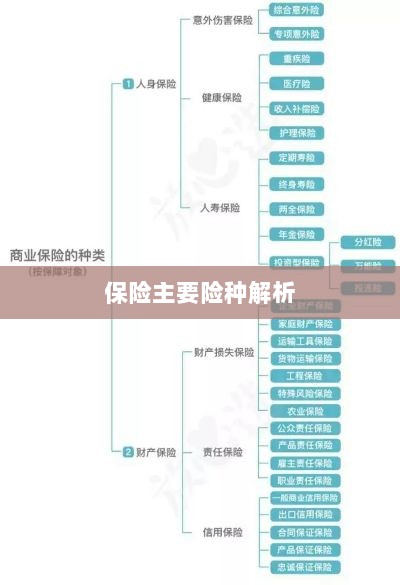 保险主要险种详解-图1 保险主要险种详解-图1