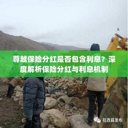 深度解析,尊越保险分红是否含息?保险分红与利息机制详解。-图1 深度解析,尊越保险分红是否含息?保险分红与利息机制详解。-图1