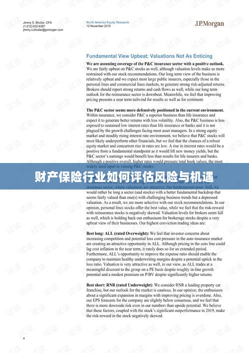 财产保险行业风险与机遇的评估策略-图1