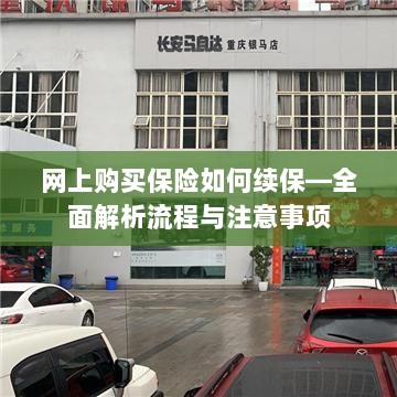 网上保险续保攻略，流程详解与注意事项-图1