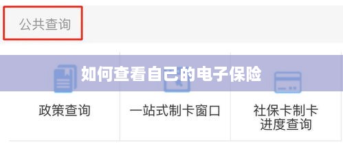 如何查看个人电子保险保单详情-图1 如何查看个人电子保险保单详情-图1