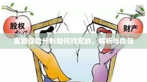 离婚保险分割约定详解与指导手册-图1