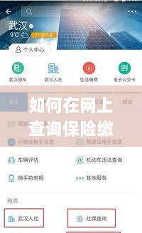 网上查询保险缴纳情况攻略-图1 网上查询保险缴纳情况攻略-图1