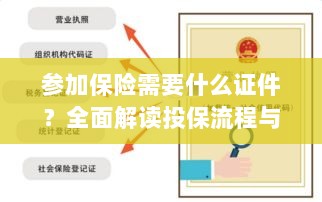 投保全攻略,保险所需证件及流程详解-图1 投保全攻略,保险所需证件及流程详解-图1
