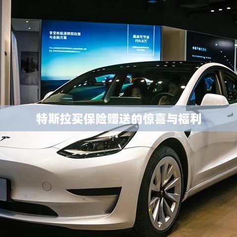 特斯拉保险购买赠品与惊喜福利概述-图1 特斯拉保险购买赠品与惊喜福利概述-图1