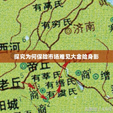大金险在保险市场难觅踪迹的探究-图1 大金险在保险市场难觅踪迹的探究-图1