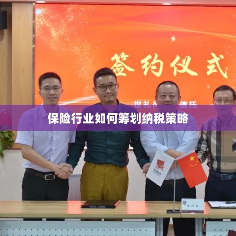 保险行业的纳税策略筹划之道-图1