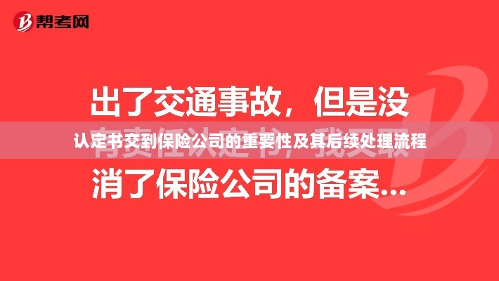 认定书对保险公司的重要性及后续处理流程详解-图1 认定书对保险公司的重要性及后续处理流程详解-图1