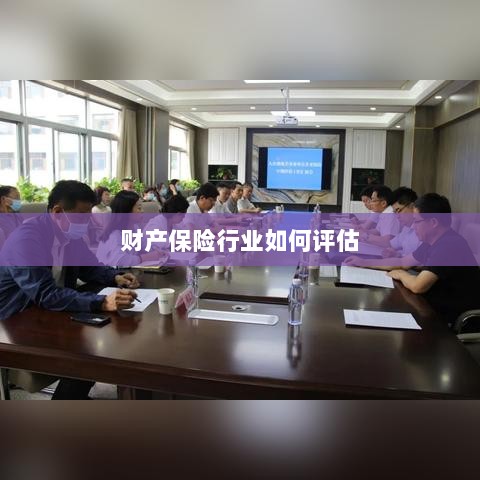 财产保险行业评估方法与策略解析-图1 财产保险行业评估方法与策略解析-图1